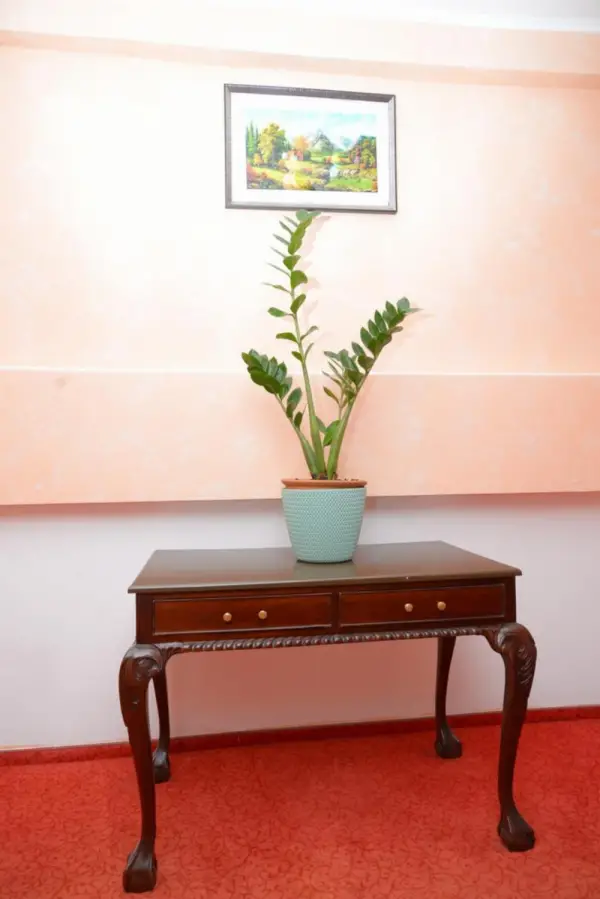 Hotel Tomis Neptun Main image
